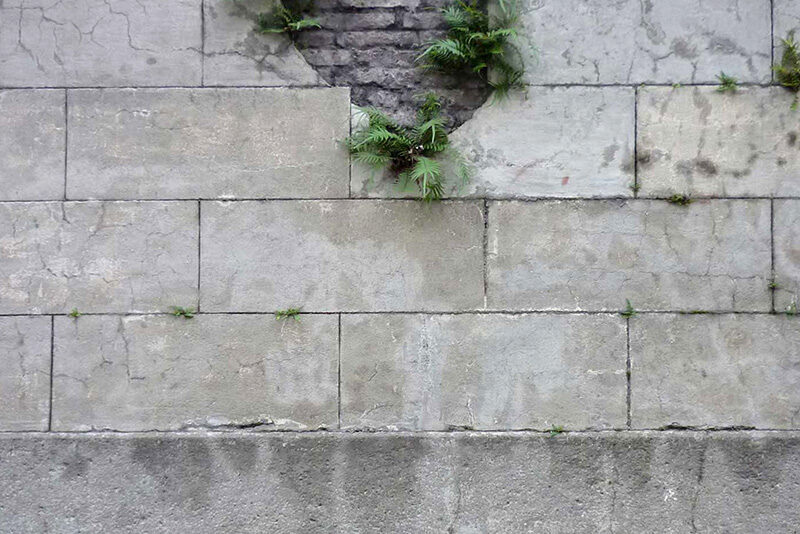 Giardini e no